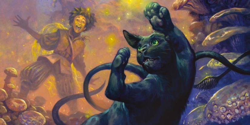 Magic Of The Feywild