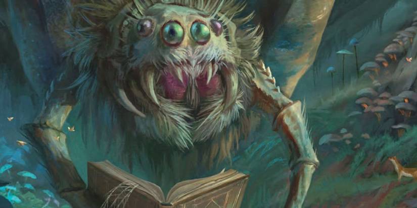 Large Spider Telling A Story 