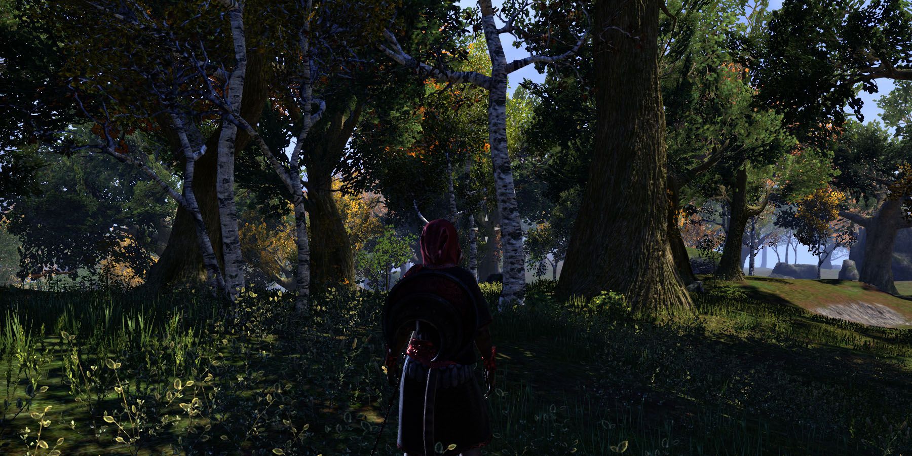 Exploration in Elder Scrolls Online