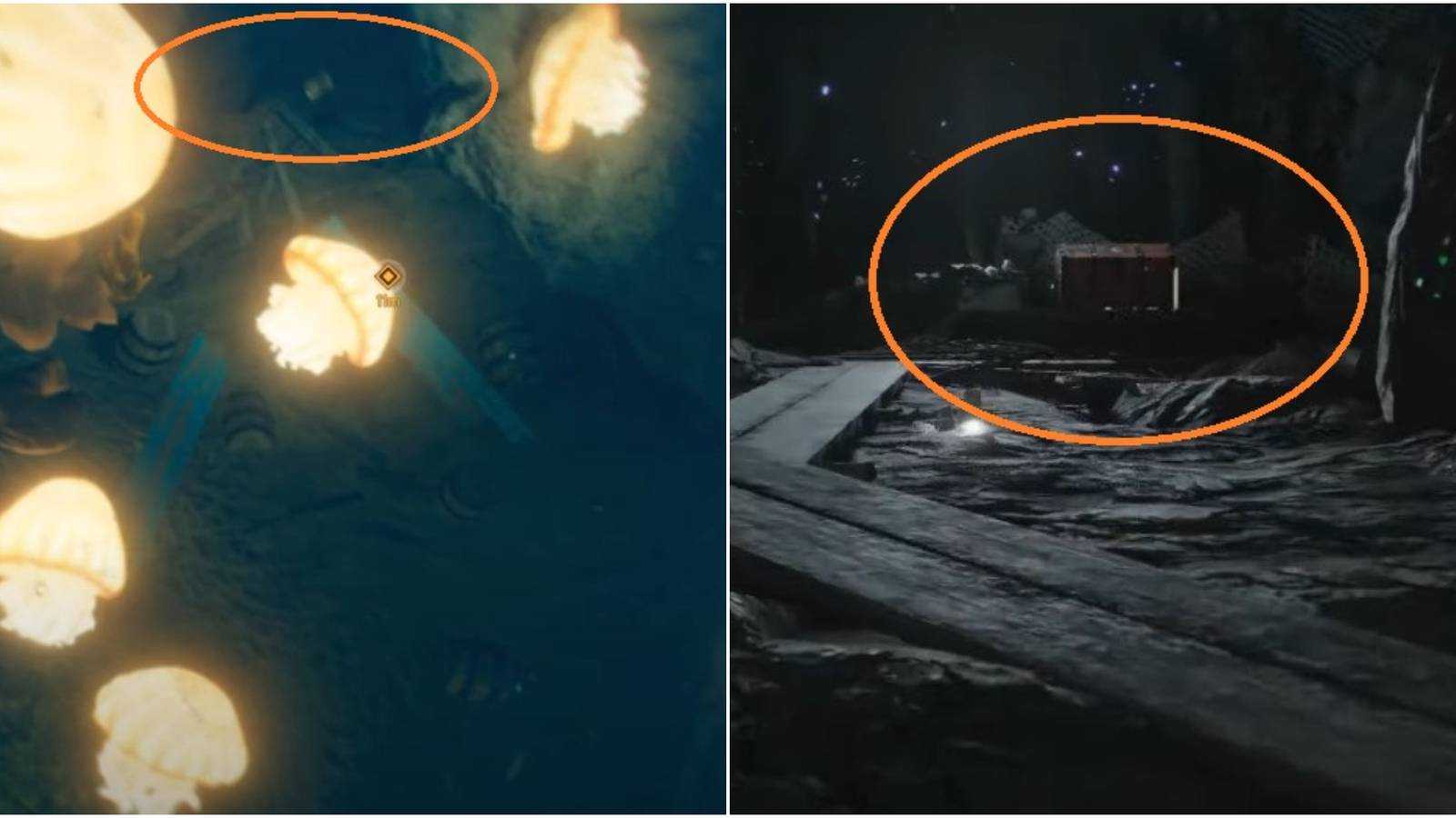 Far Cry 6 The Legend Of La Princesa Collage Jellyfish And Chest