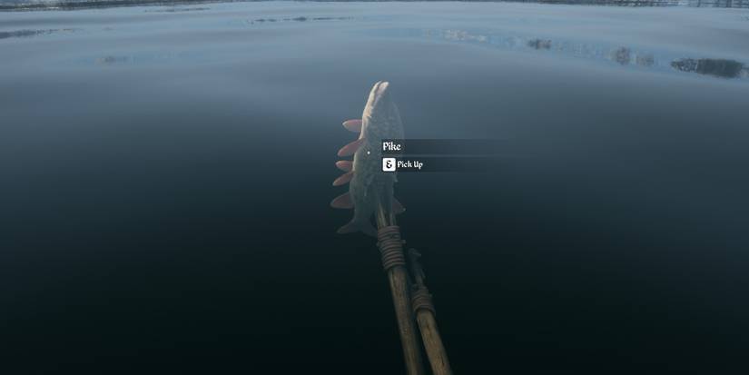 Catching A Fish In Medieval Dynasty