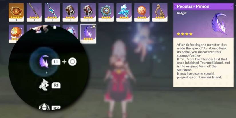 Genshin-Impact-Electroculus-Tsurumi-Island-30-3