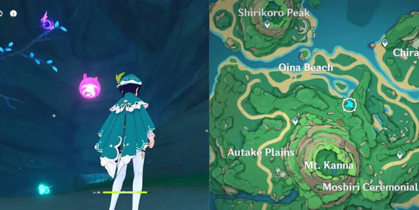 Genshin Impact Inazuma Southeast Of Oina Beach