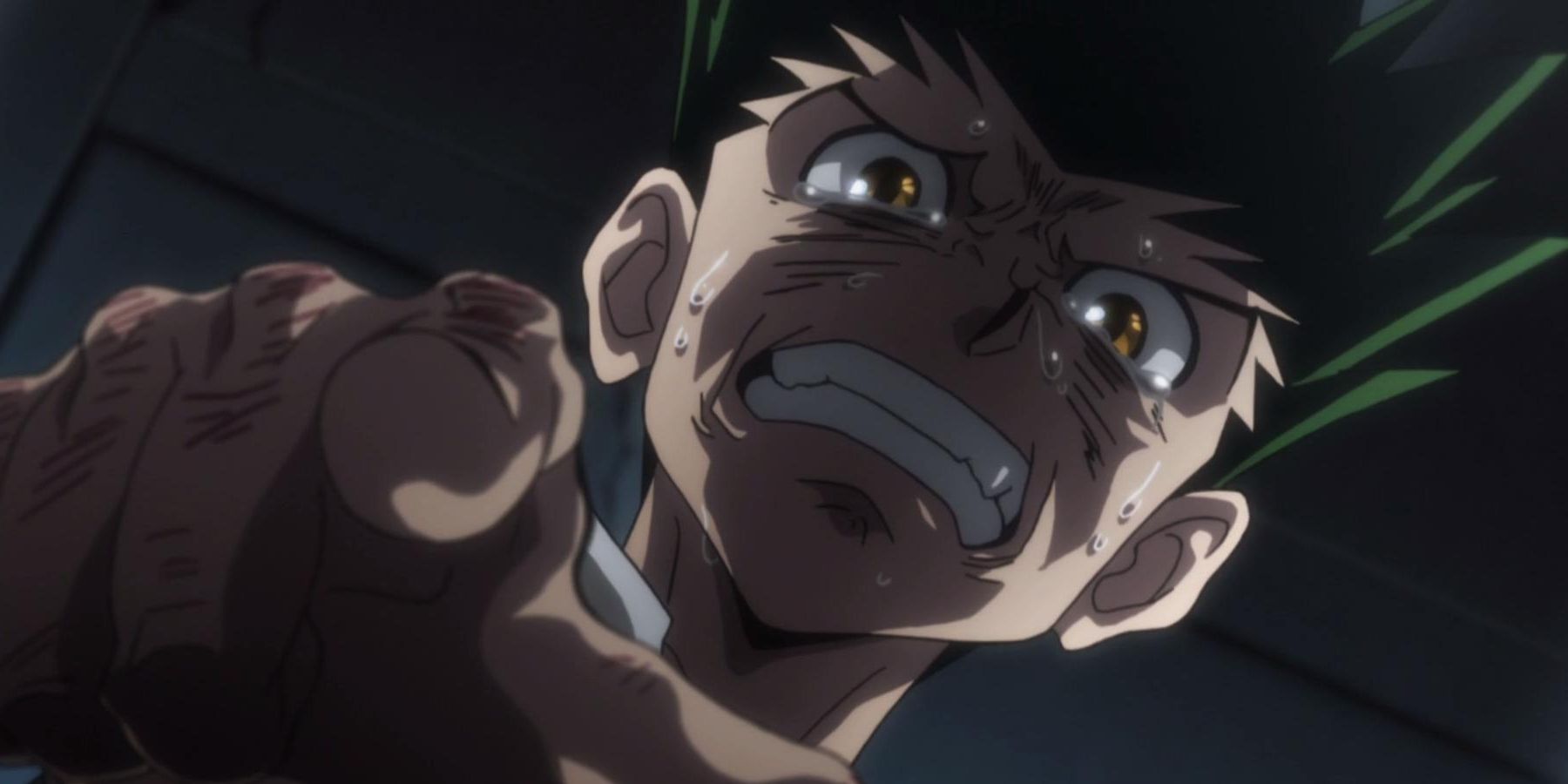 Gon crying