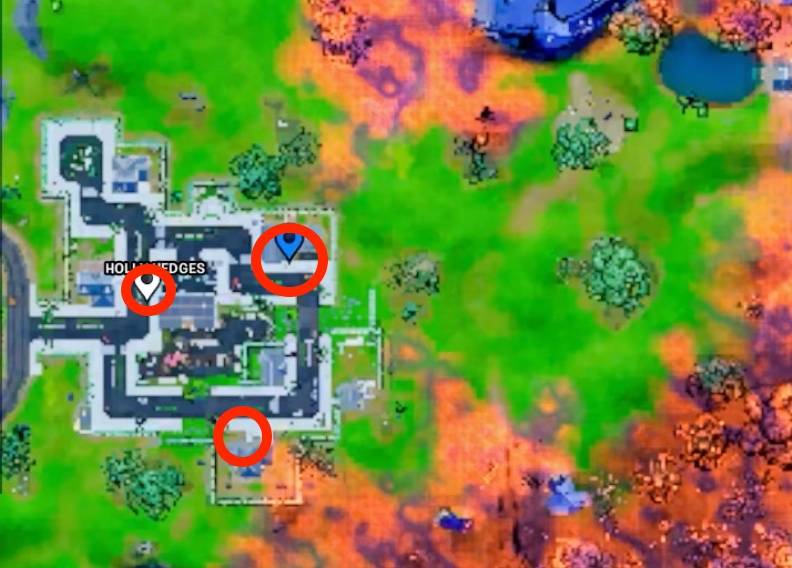 HOLLY HEDGES fortnite