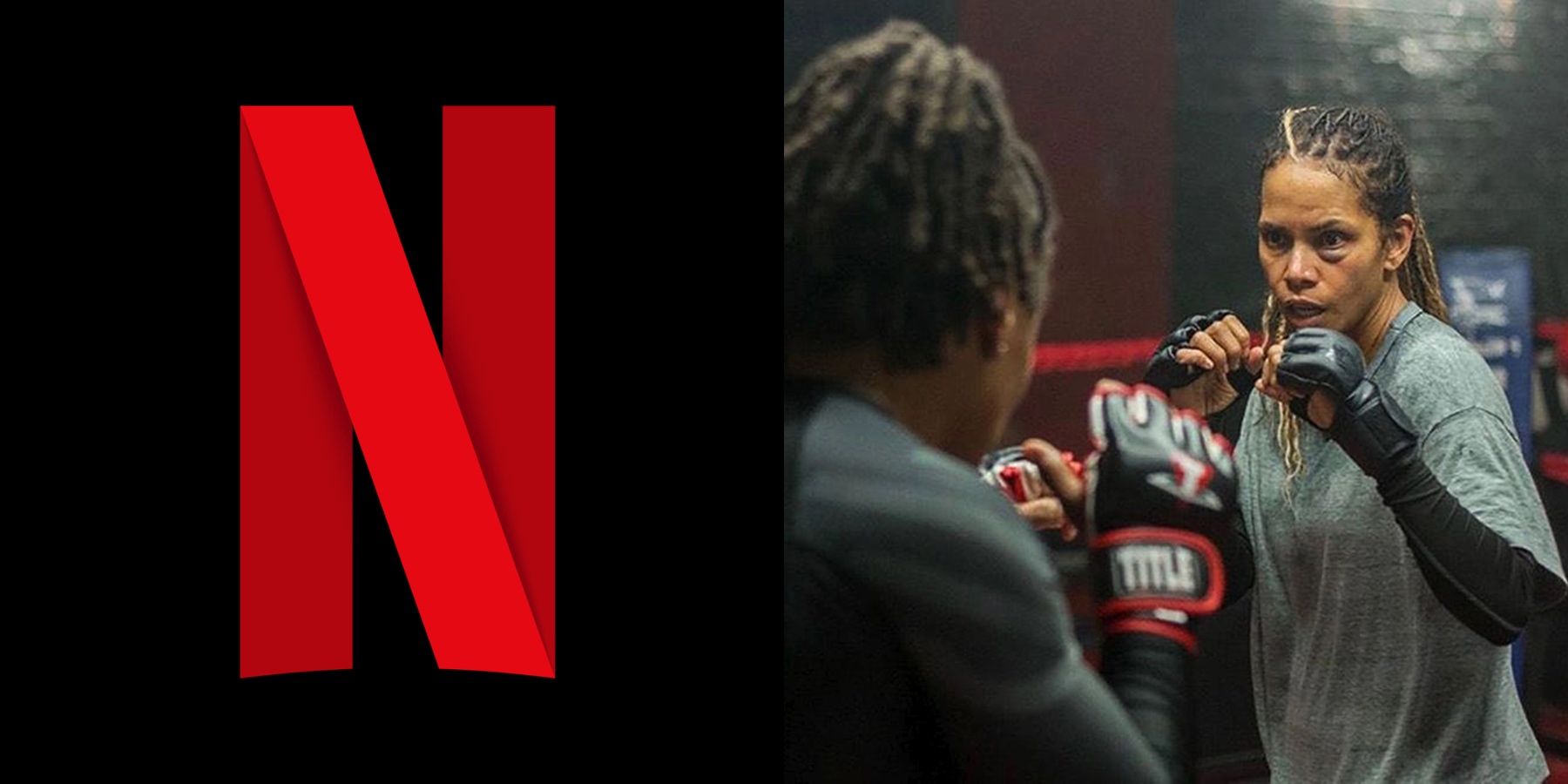 Halle Berry Bruised Netflix