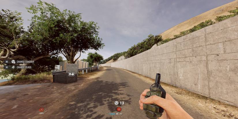 Player Holding a Grenade