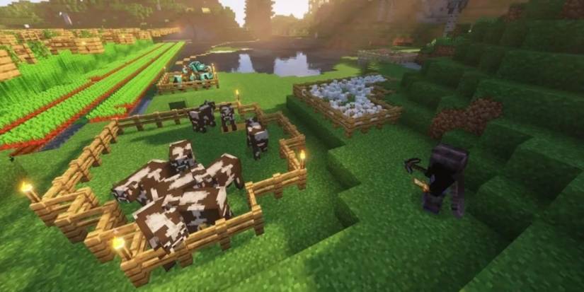 Minecraft Iris Shaders