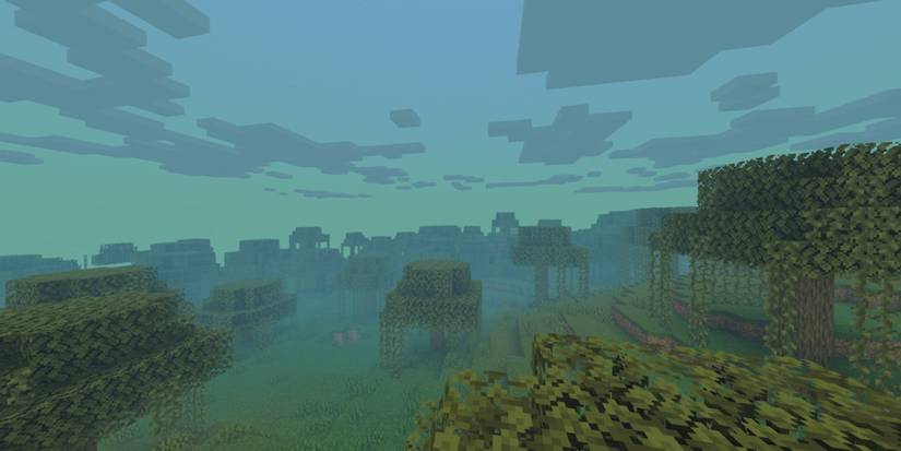 Minecraft Swamp Biome