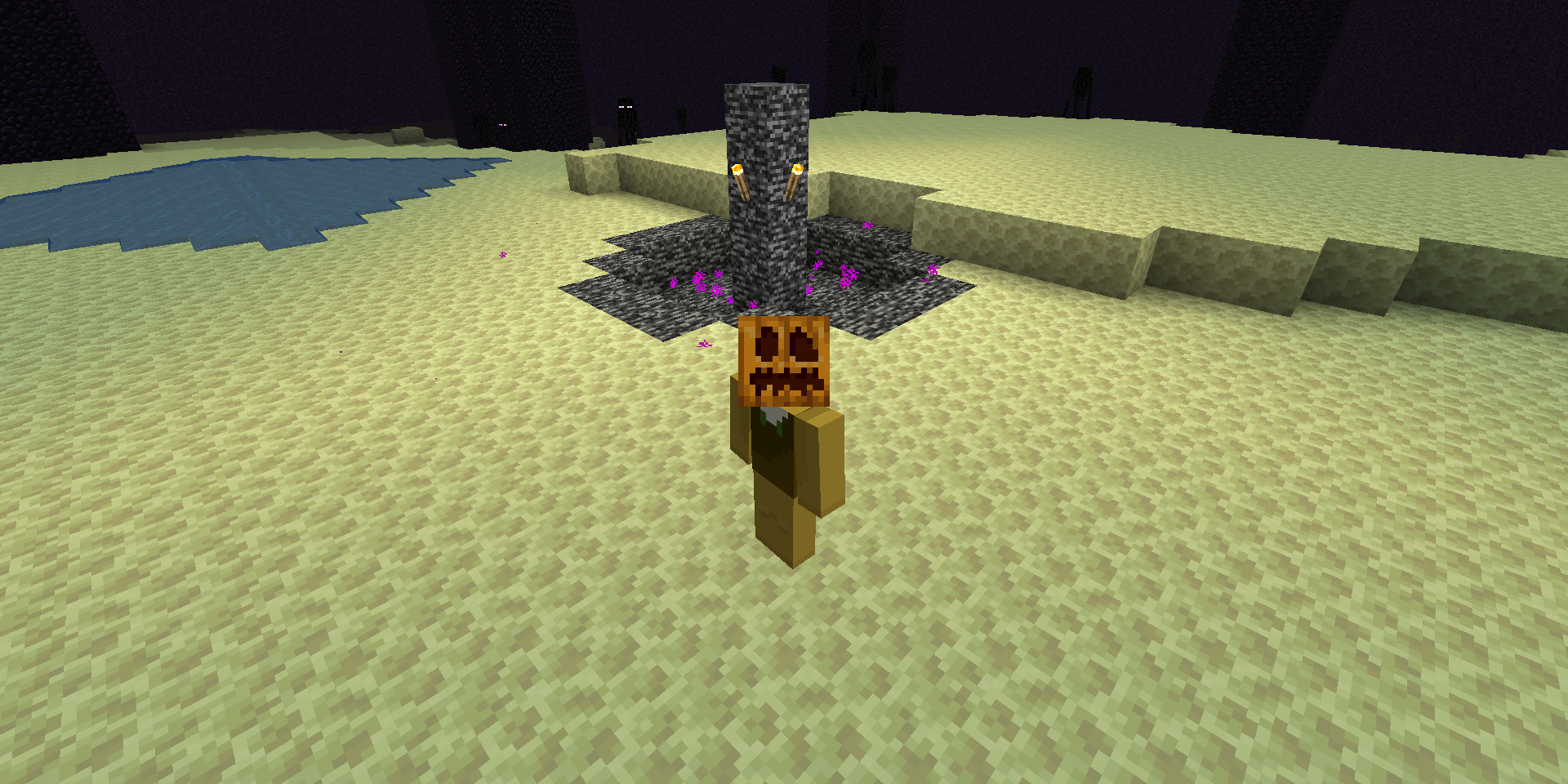 Player with a pumpkin on their head in Minecraft