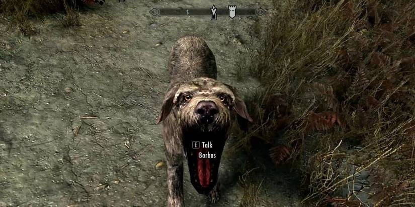 NPC Best Quotes Skyrim Barbas