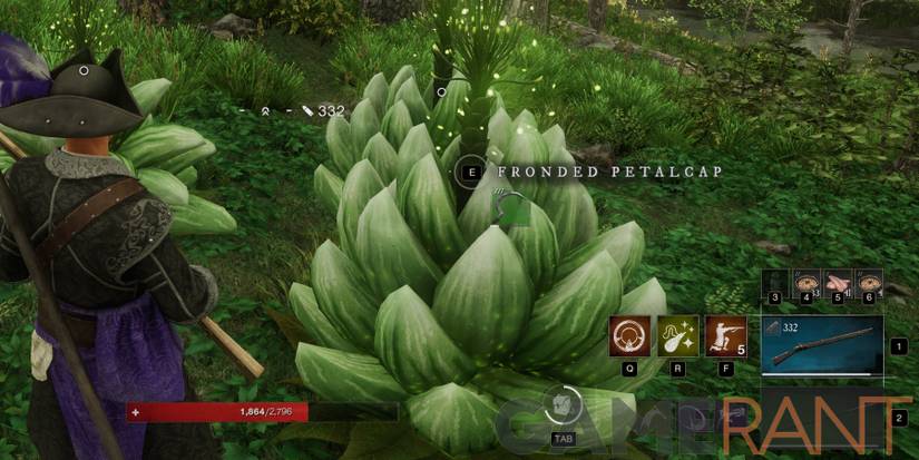 New World Fronded Petalcap closeup