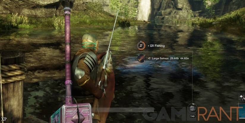 New World Large Salmon Catch The Best War Games