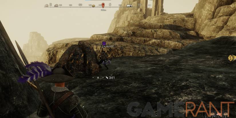 New World Other Player Taking Iron