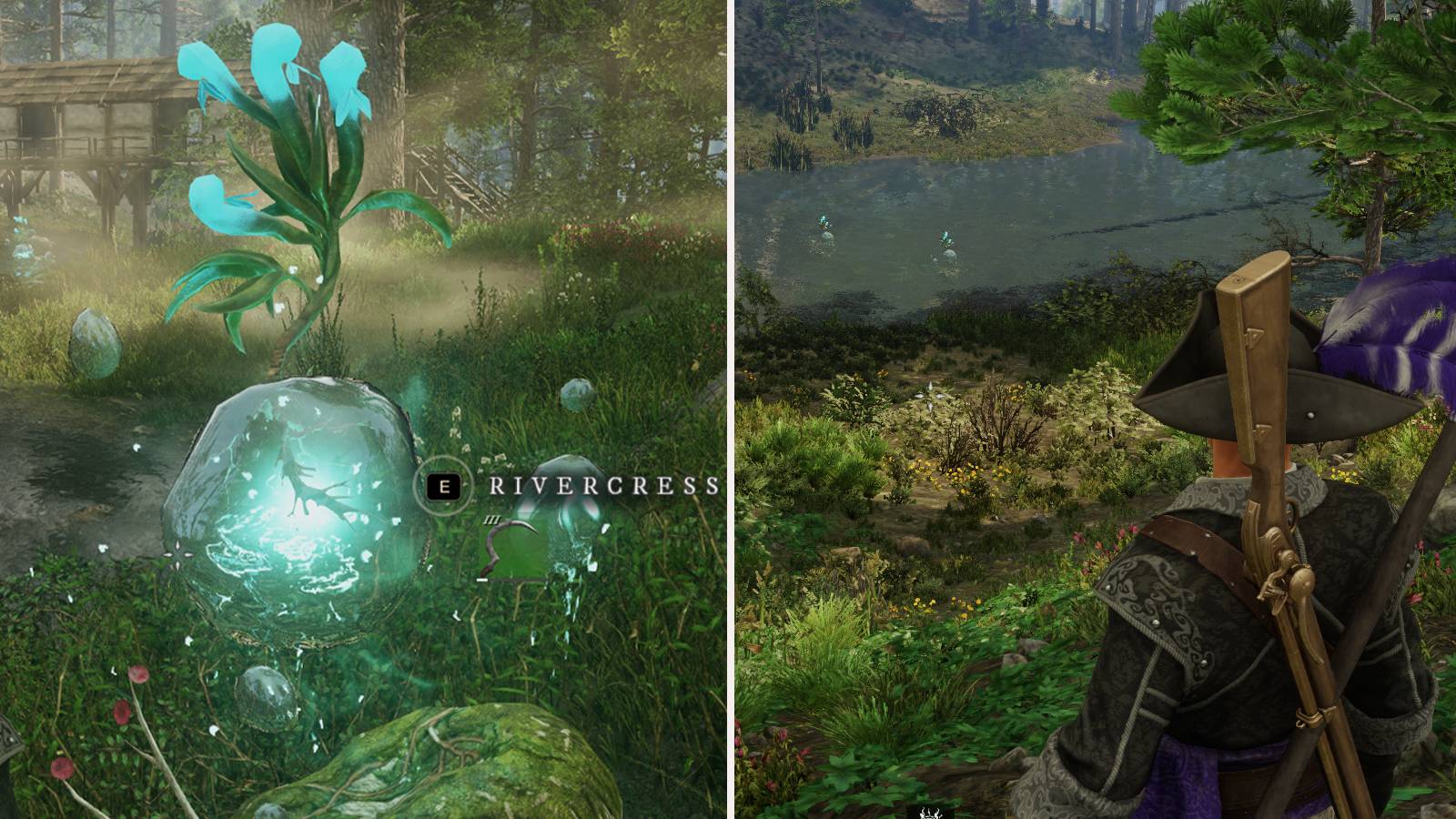 New World Rivercress Feature