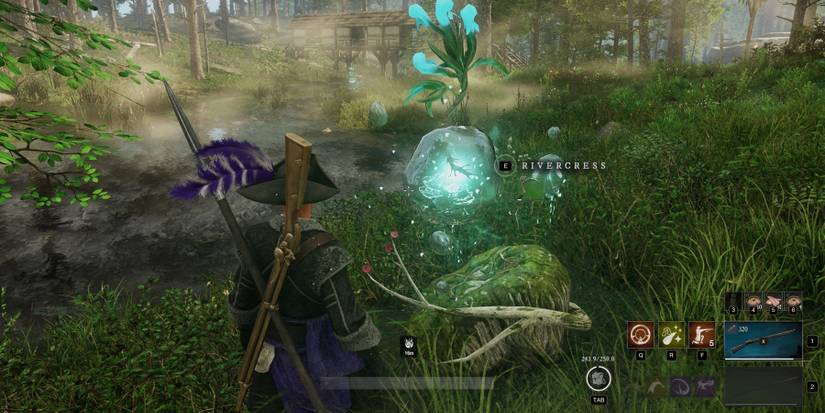 New World Rivercress Stem Closeup