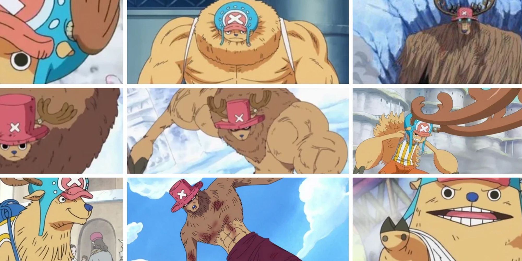 One Piece - Most Of Choppers Hito Hito No Mi Transformations