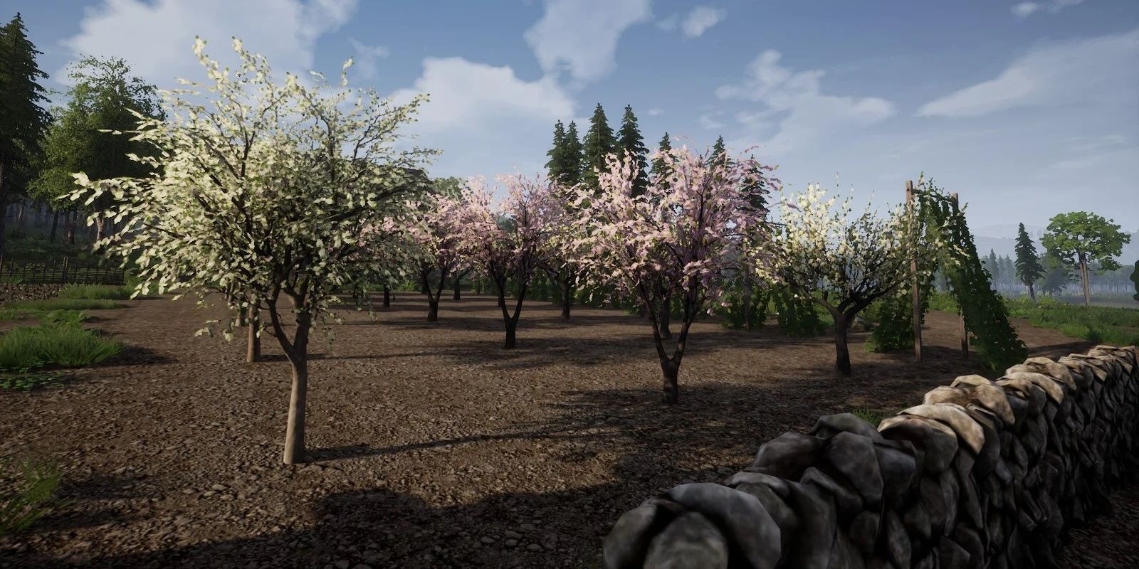 Orchard Field From Medieval Dynasty
