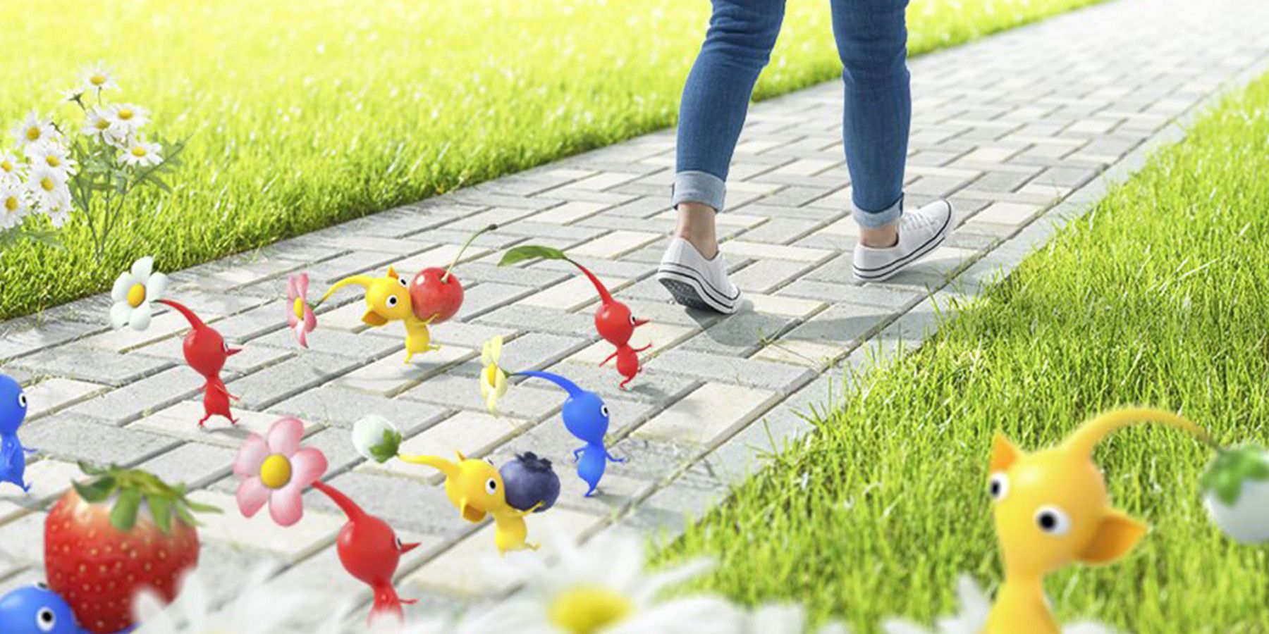 Pikmin Bloom Player's Stranded Pikmin Took 40 Days to Get Home