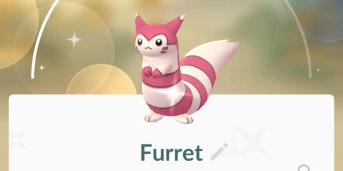Pokemon Go Shiny Furret