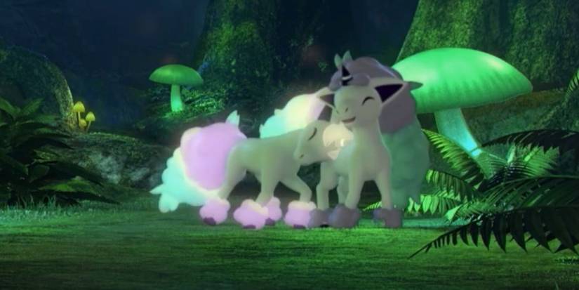 Two Galarian Ponyta playing together in Pokemon Sword and Shield's Glimwood Tangle during the Pokemon Live Camera stream