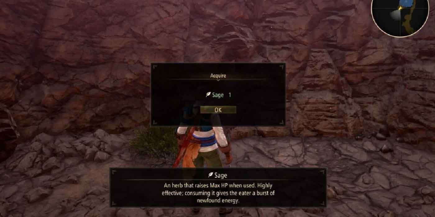 Finding the consumable item Sage in Tales of Arise