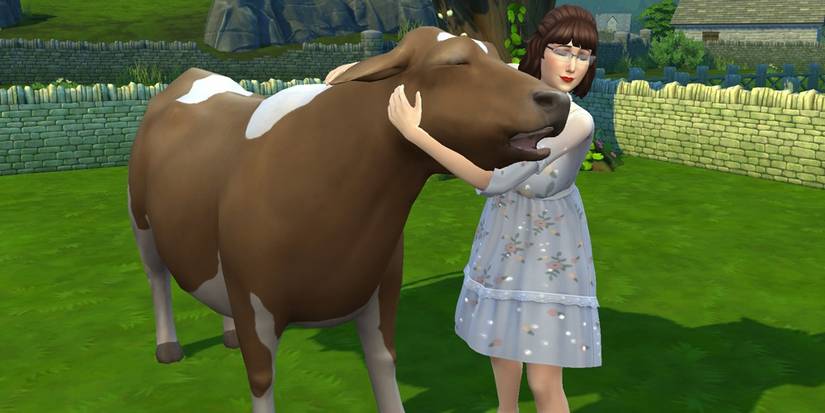 Sims 4 Sim pets a cow