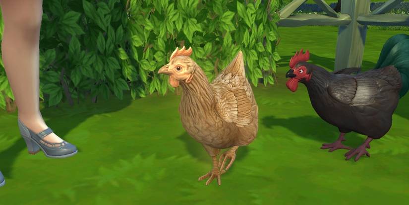 Sims 4 chickens