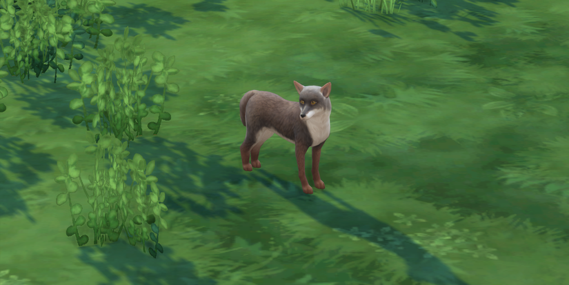 Sims 4 fox