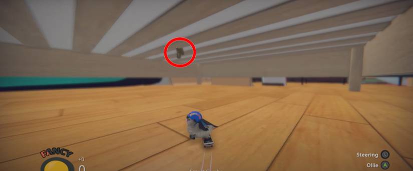 SkateBIRD Bringing It Home Clothing Item #1