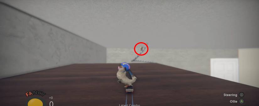 SkateBIRD Bringing it Home Tape #1