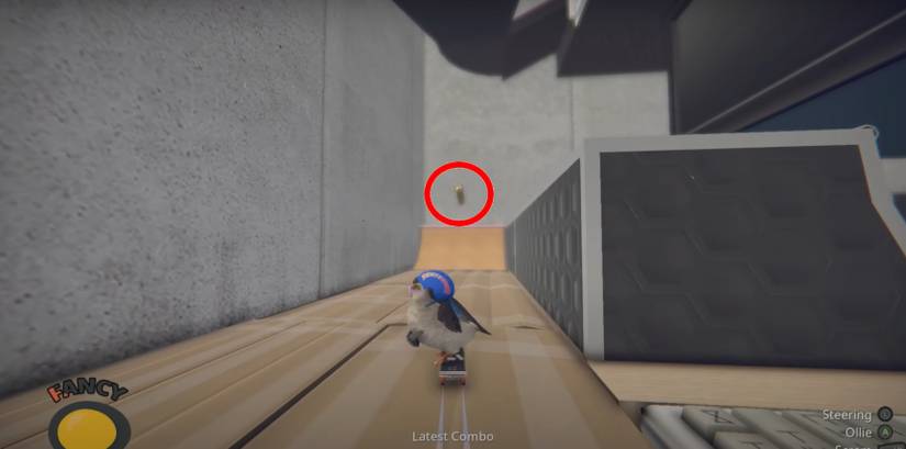 SkateBIRD The Forgotten Gibson Clothing 2