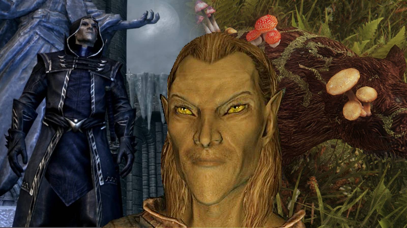 Skyrim Best Mods Addons Altmer High Elf