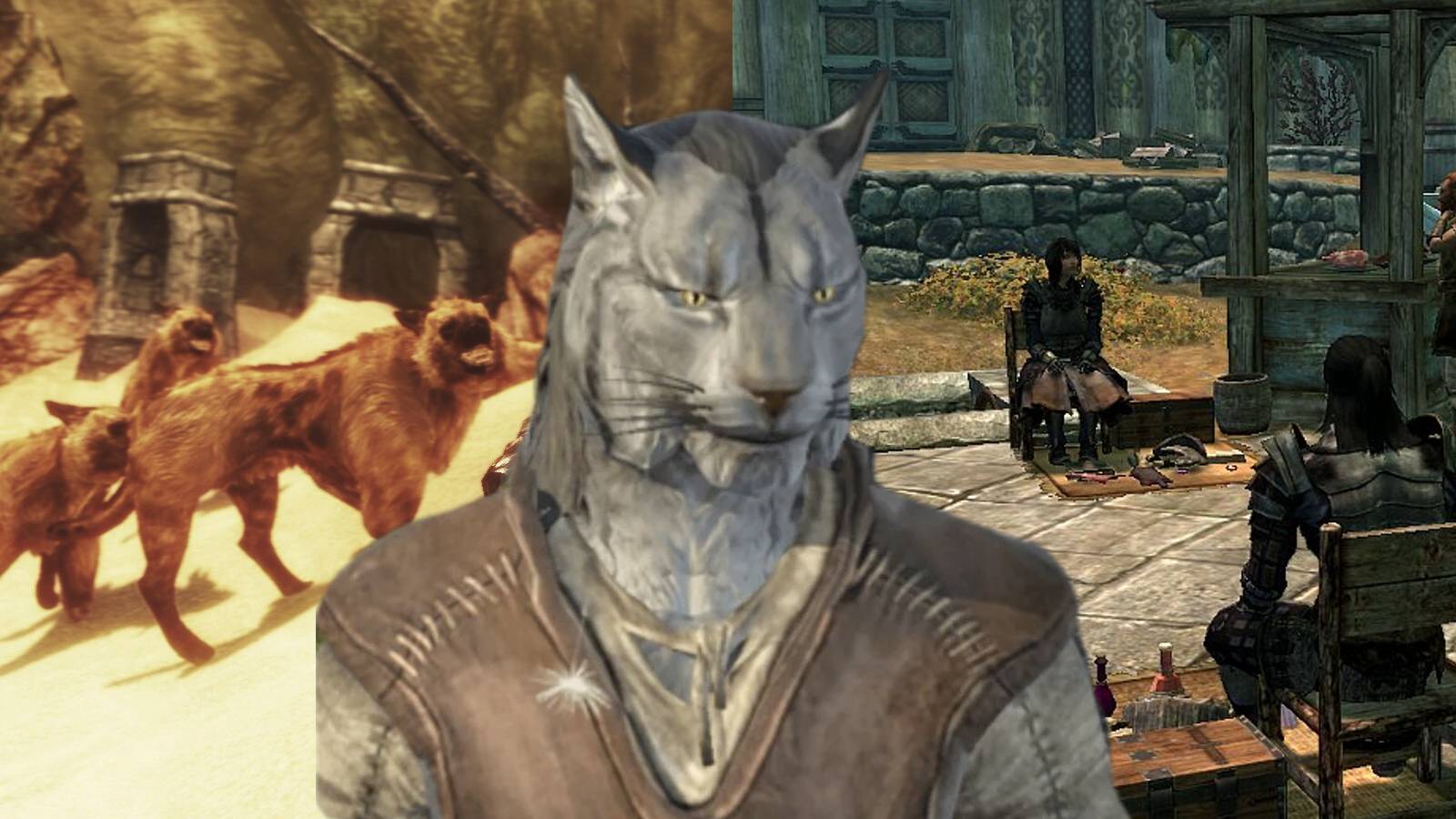 The Best Skyrim Mods for Khajiit, image size:1600x900