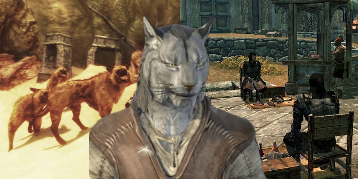 Skyrim Beast Race Mods Improving The Khajiit Of Skyrim — 14 Best