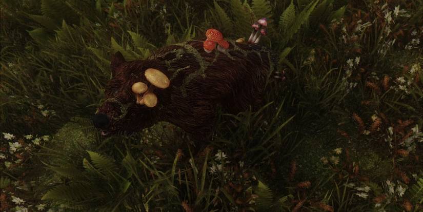 Skyrim Best Mods Altmer High Elf Summerset Isle