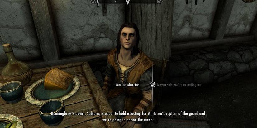 Skyrim's Mallus Maccius Enjoys A Drink In The Tavern