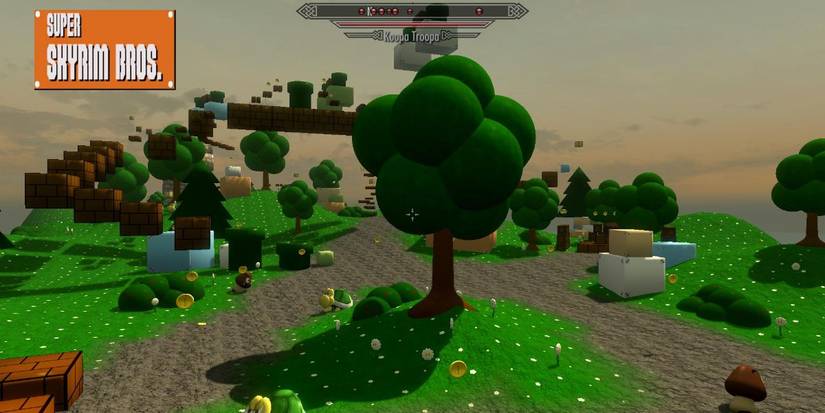 Skyrim Weirdest Mods Super Mario Bros
