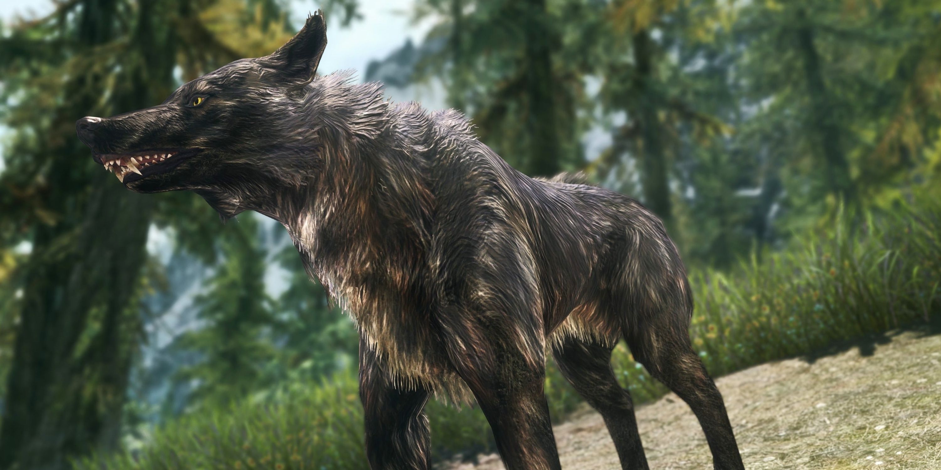 Skyrim's Wolves Are Commonly Encountered In The Wilds