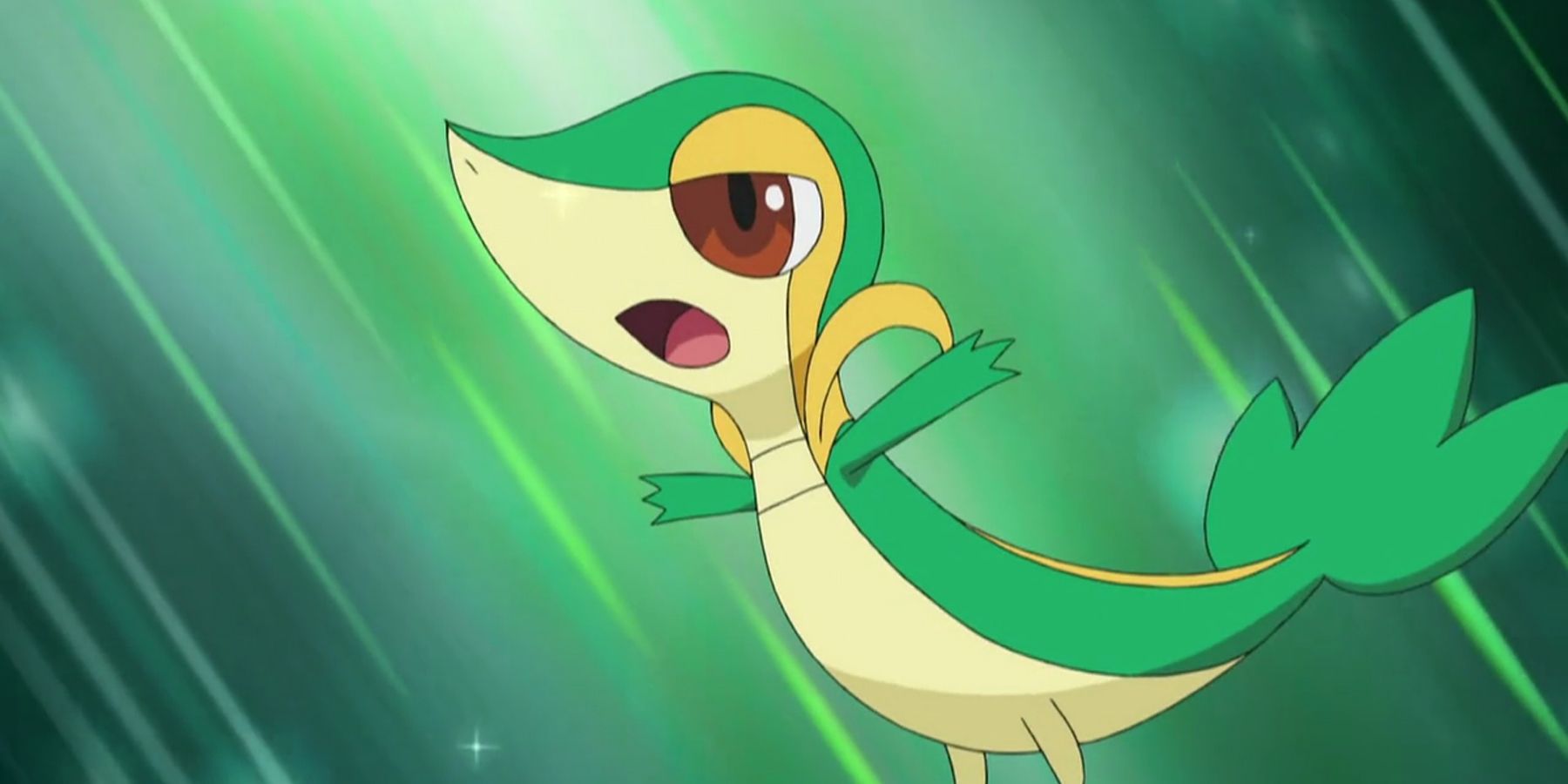 Snivy From The Pokemon Anime