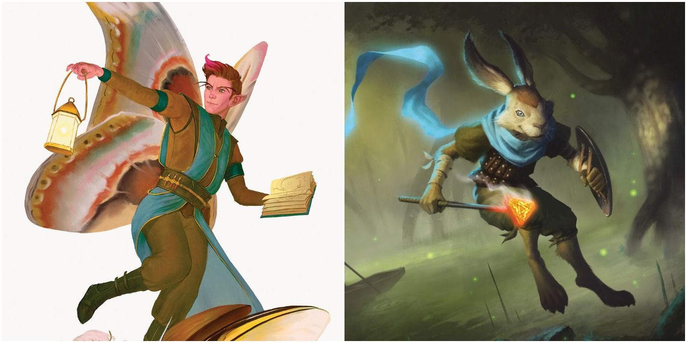 A Split Image Of The Wild Beyond The Witchlight Races