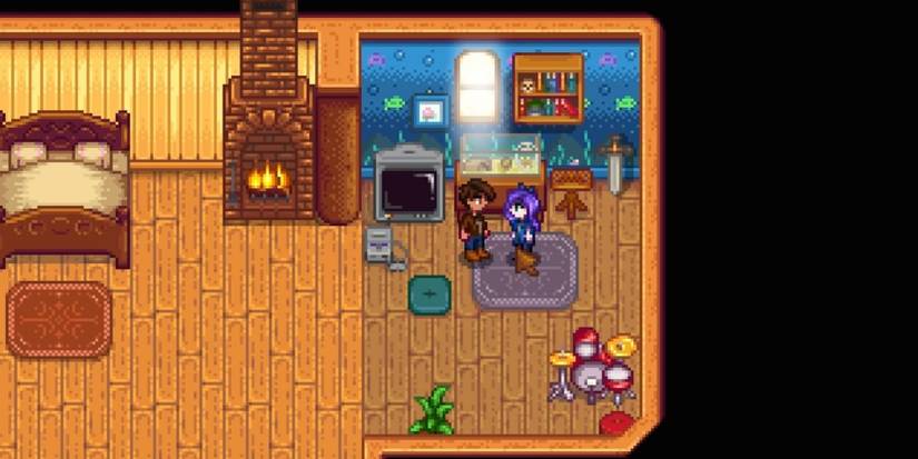 Stardew Valley Abigails Room
