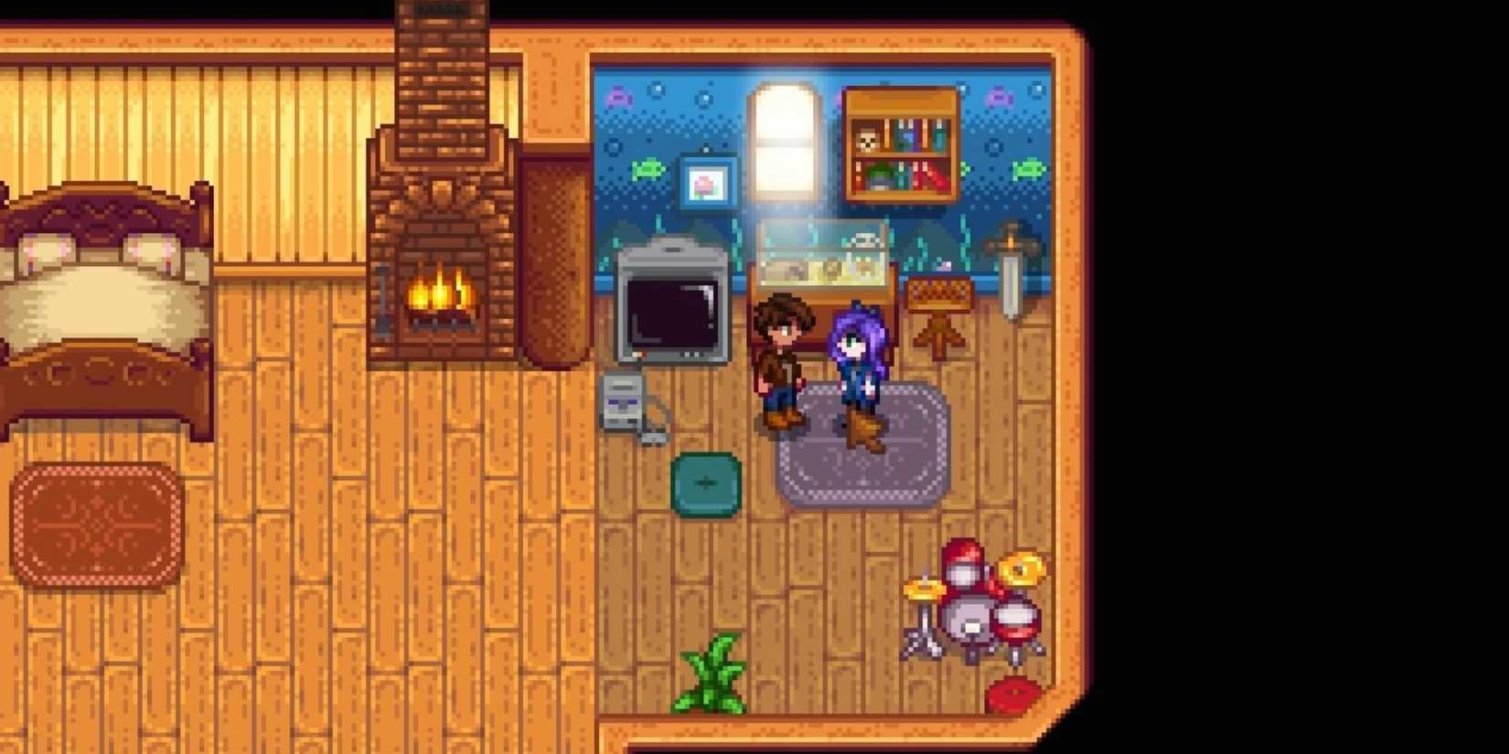 Stardew Valley Abigails Room