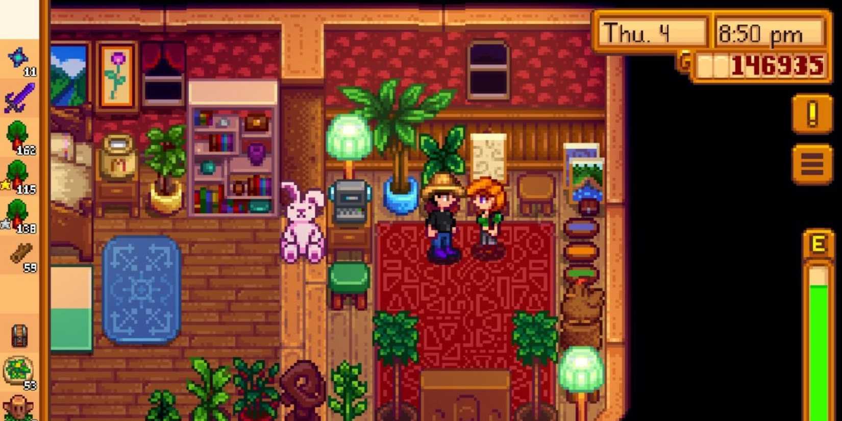 Stardew Valley Leahs Room