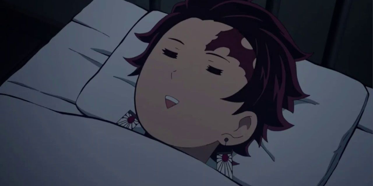 Tanjiro sleeping in Demon Slayer