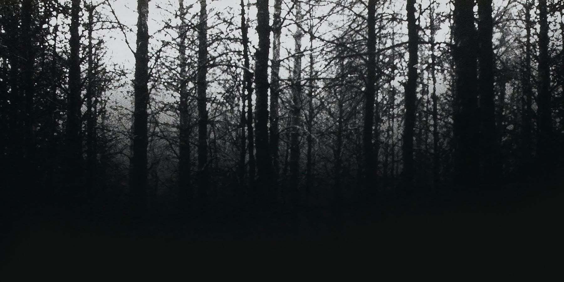 The Blair Witch Project (1999) forest