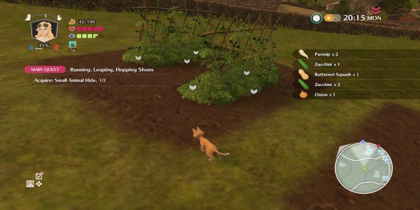 Exploring the world in The Good Life