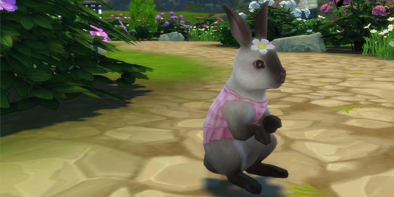 The Sims 4 rabbit