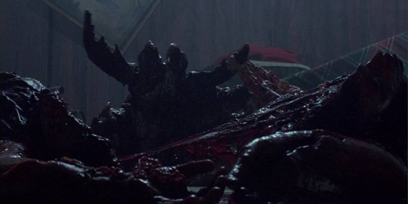 Ticks a picture of a tick emerging