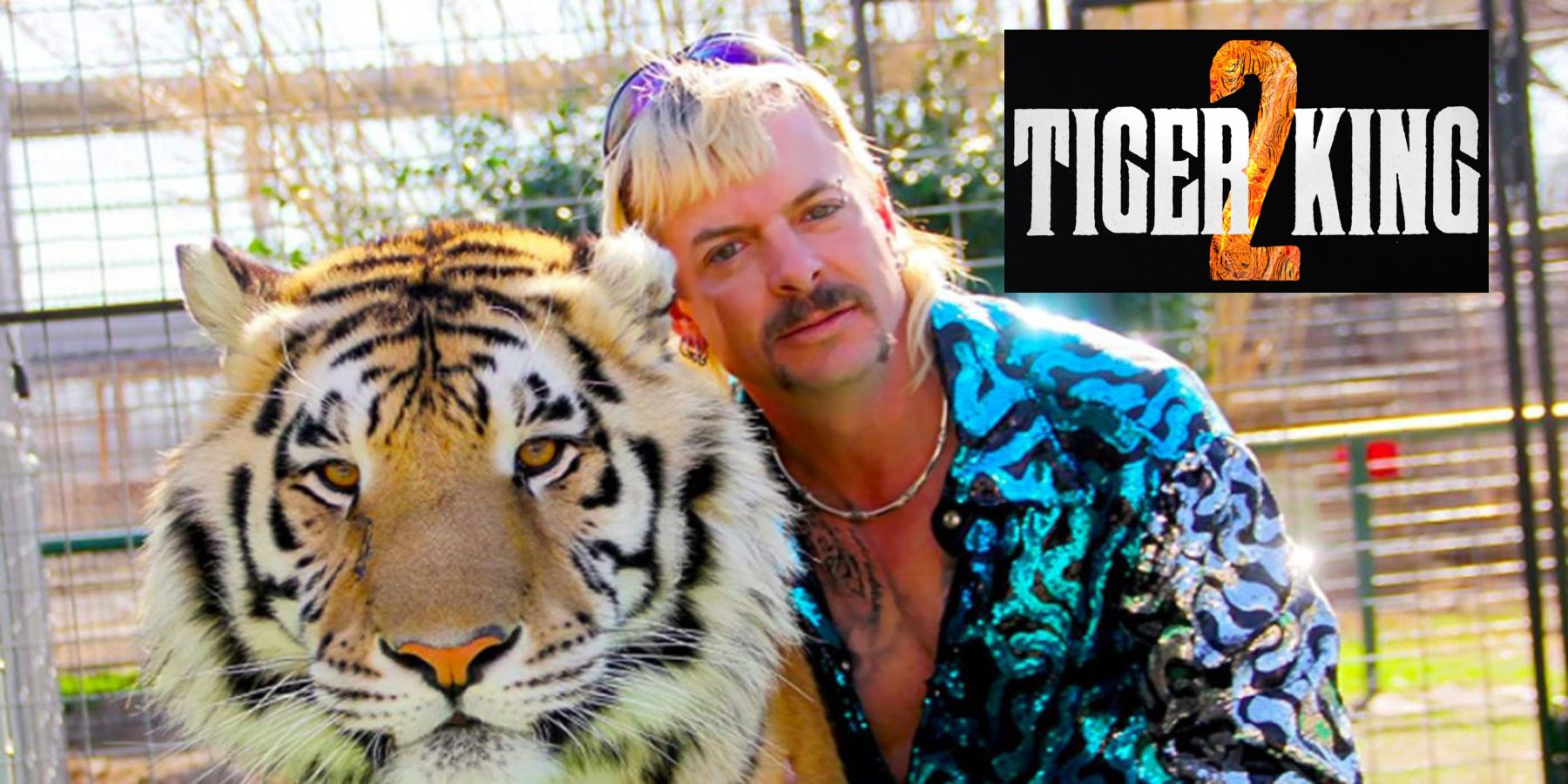 Tiger King 2 Joe Exotic Netflix